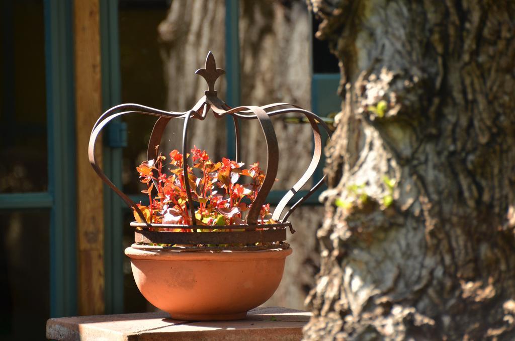 De Hoek Country Hotel Magaliesburg Bagian luar foto